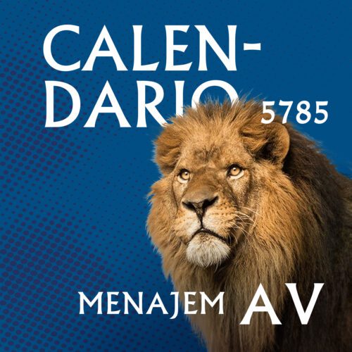 Añdido a lista de deseos