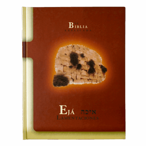 Añdido a lista de deseos