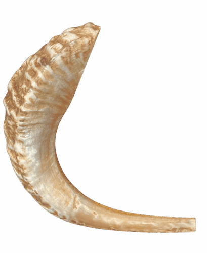 Añdido a lista de deseos