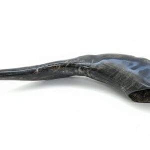 Shofar De Cuerno De Carnero Negro De Alta Calidad: Shofar Pulido