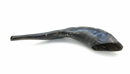 Añdido a lista de deseos