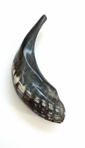 Añdido a lista de deseos