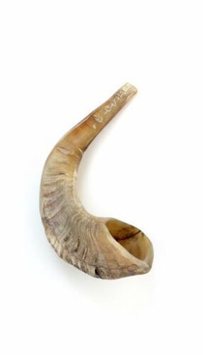 Añdido a lista de deseos