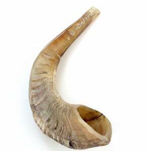 Shofar – cuerno de carnero
