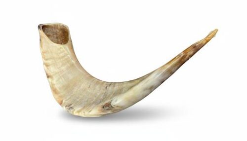 Añdido a lista de deseos